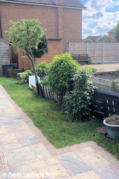 Mallard Duck First barrier attempt 4:00pm 12th May 2021