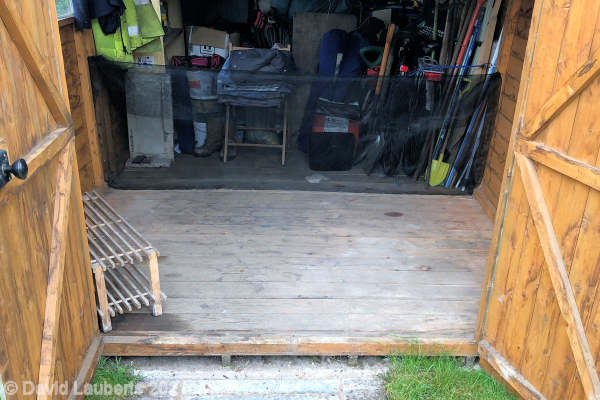 Mallard Duck Getting the shed ready 12:06pm 15th May 2021