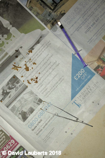 Dunnock Feeding tools 1st July 2018